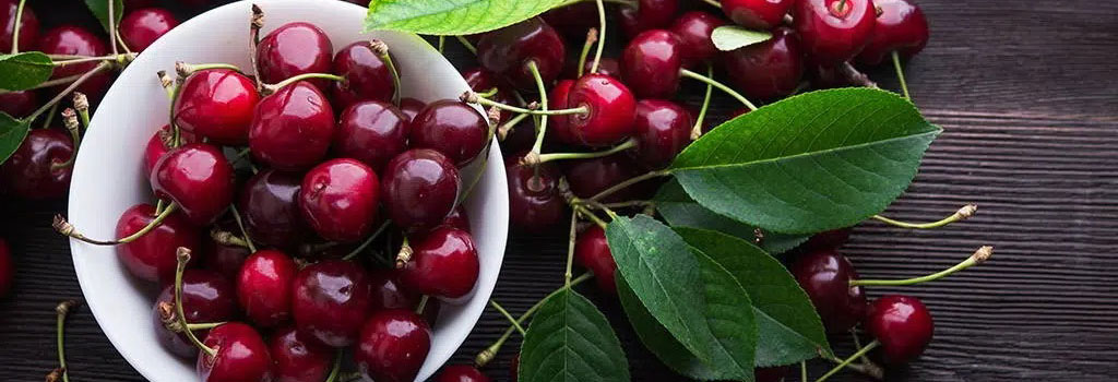 Tart Cherry Juice vs Tart Cherry Extract