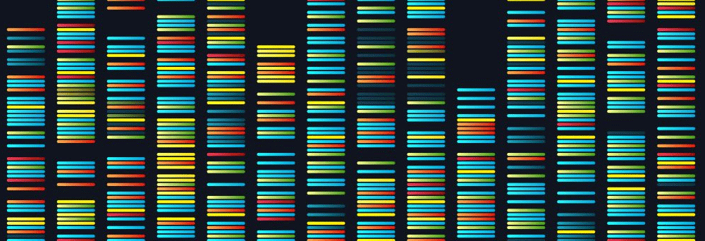 How NMN Repairs DNA And Reverses Aging