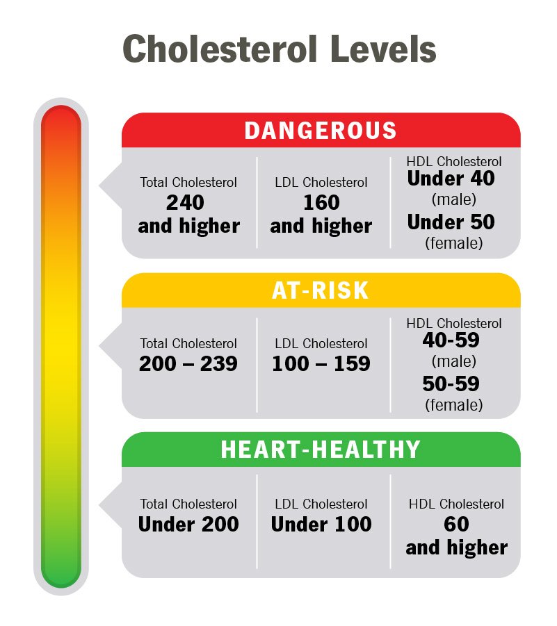 Cholesterol chart with dangerous, at-risk, and healthy ranges; mentions surgeon-formulated supplements for support.