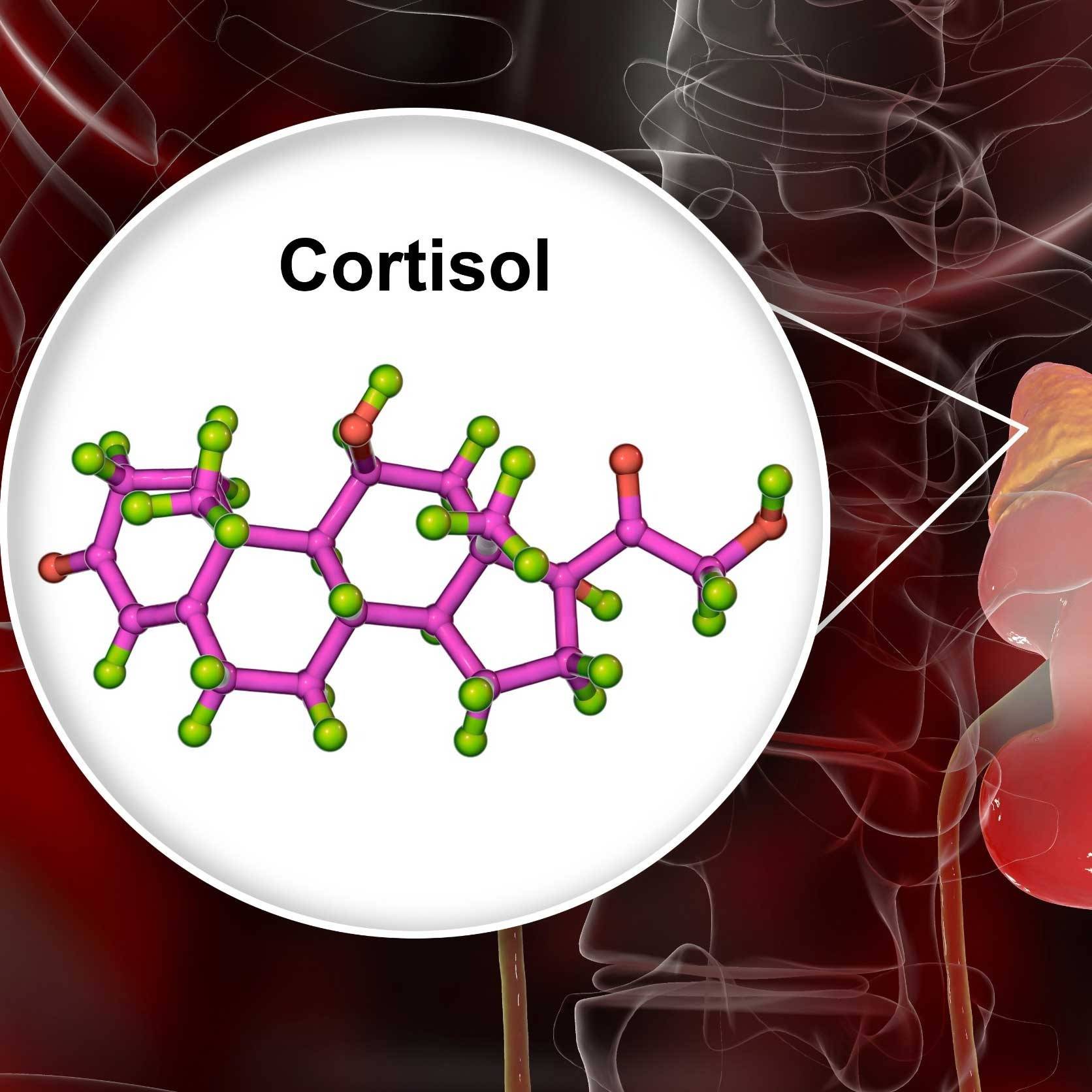 Lower Cortisol