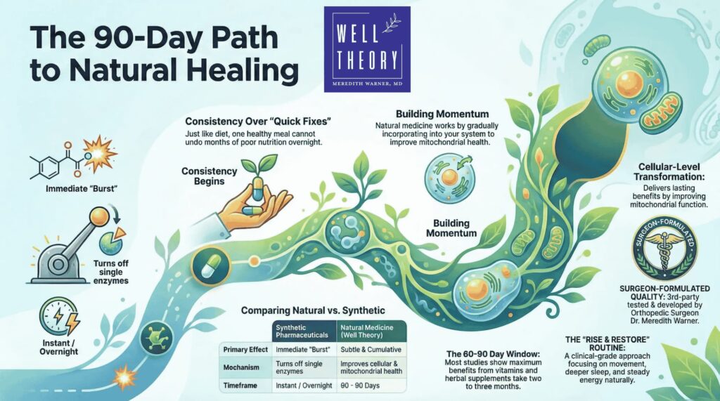 consistency over quick fix_natural meds infographic explaining the process natural meds take in the body.
